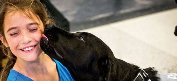 I cani provano gelosia. Lo prova la scienza