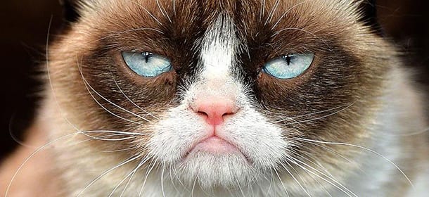 Grumpy