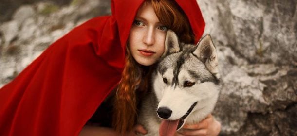Cappuccetto Rosso non piace agli animalisti. L’AIDAA: "Fiaba da ritirare. Il lupo non è cattivo"