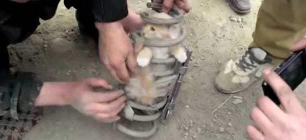 Il gatto rimane incastrato nell'ammortizzatore e 3 uomini lo salvano [VIDEO]