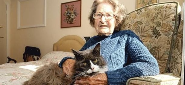 Gatta ritrova la padrona ricoverata in una casa di cura