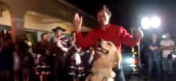 Il cane che balla il merengue e non sbaglia un passo [VIDEO]