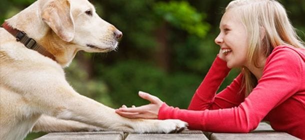 Parlate con il cane? Lui cerca di capire
