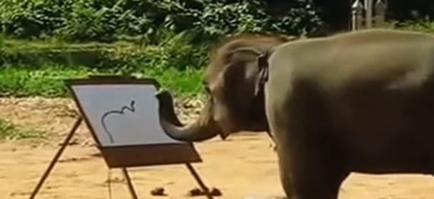L'elefante che si fa l'autoritratto [VIDEO]