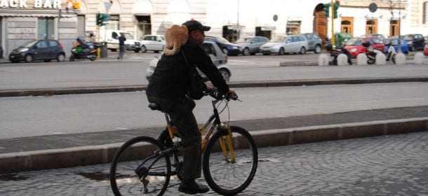 Ciclista romano con un gatto rosso a mo' di sciarpa [FOTO + VIDEO]