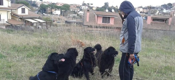 A lezione da Adriano Capocasale: quando e come il nostro cane deve andare a scuola?