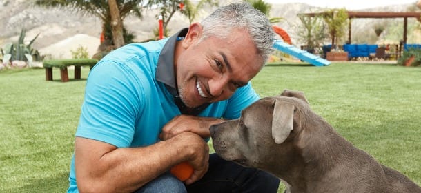 Cesar Millan sotto accusa: una donna è stata aggredita da un cane del suo centro