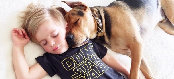 Cani: ecco le razze più adatte a chi ha bambini in casa