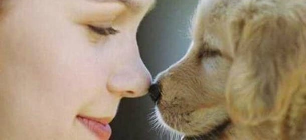 Tra uomini e cani è amore a prima vista. Uno studio lo dimostra