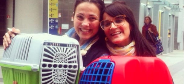 La volontaria Ambra Giordano: "Faccio le staffette per portare amore"