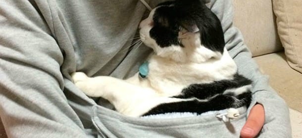 Mewgaroo, la felpa "porta gatto" più venduta in Rete
