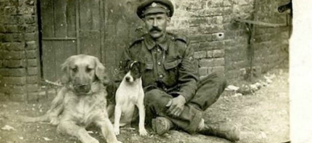 Folco Quilici e gli "Animali nella Grande Guerra": per celebrare i tanti eroi senza nome