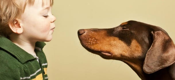 Il cane è il miglior amico dell'uomo da molto più tempo di quanto si pensi