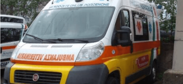 A Pordenone arriva l'ambulanza veterinaria anche per i cuccioli