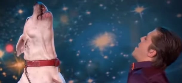 Il cane che canta "I will always love you" di Whitney Houston