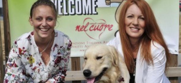Cani, gatti e Autogrill: le aree di sosta diventano "pet friendly"