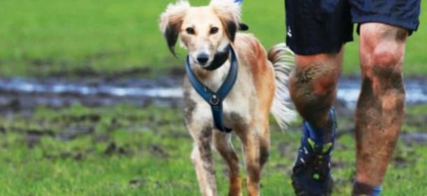 Cani e jogging: consigli per un allenamento a "6 zampe"