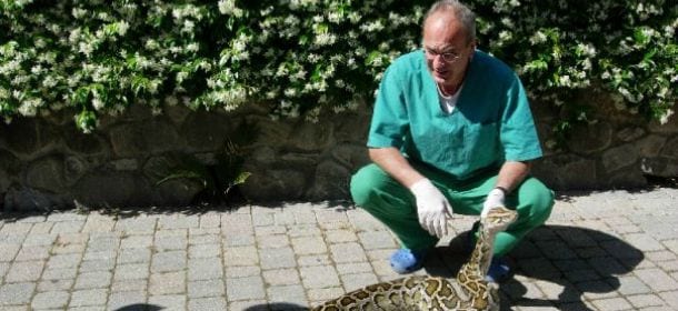 Veterinario si getta tra le fiamme per salvare i suoi animali da un incendio. E' grave