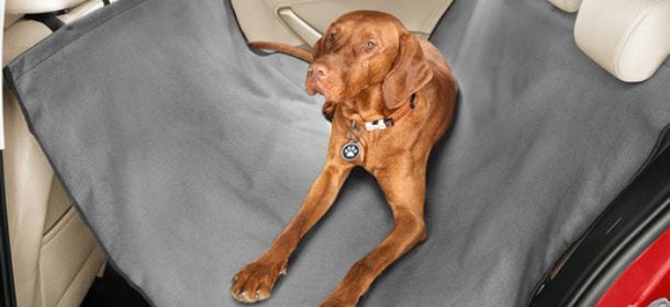 Cani in auto, Skoda lancia la linea per i viaggi: cinture di sicurezza e teli protettivi