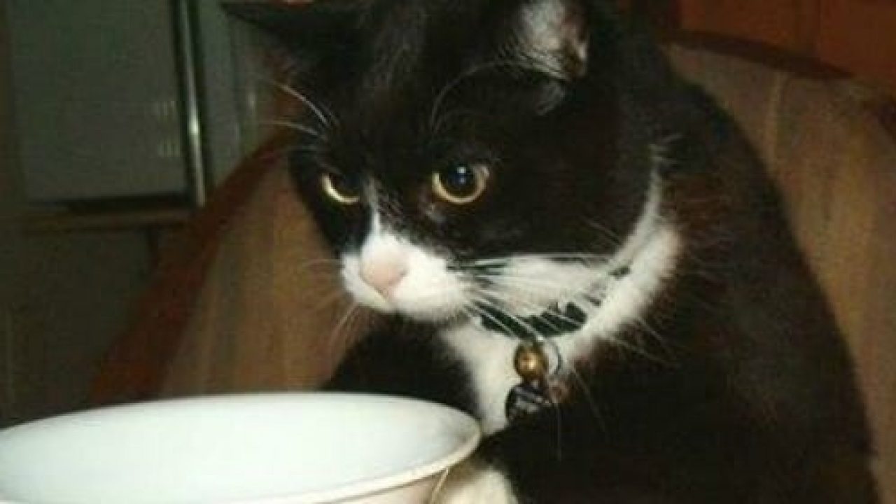 Цитаты из книг. Д пойя. Понял что этого недостаточно и. У вас недостаточно места на телефоне мем. Интеллектуальный юмор в картинках очень интересные.