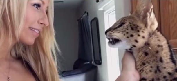 Zeus, il gattopardo africano che dice "Mamma" [VIDEO]