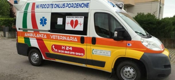 Udine, arriva l'ambulanza veterinaria: come funziona e chi chiamare