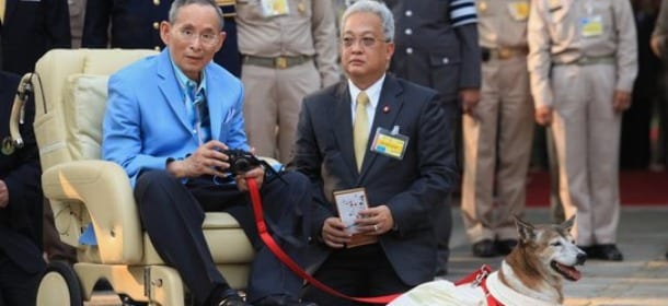 Morto il cane del re di Thailandia, ma l'operaio che lo aveva preso in giro resta in carcere