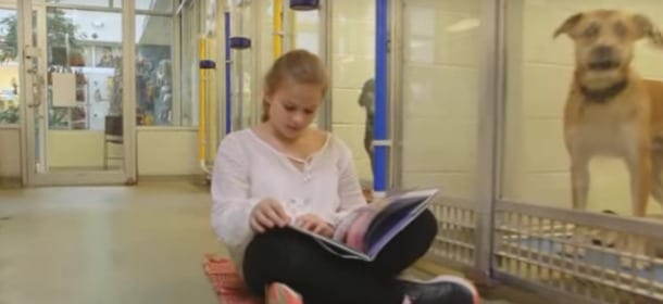 Il cane è nervoso? Per calmarlo basta fargli leggere un libro da un bambino [VIDEO]