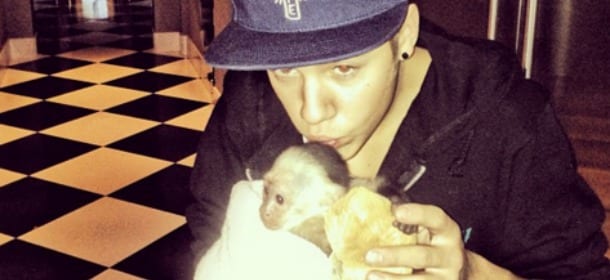 Justin Bieber vuole una nuova scimmia. Gli animalisti: "Aiutateci a fermarlo"