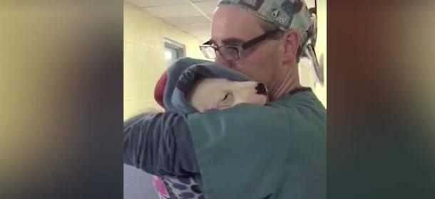 Il cane si risveglia dall'anestesia e piange: il veterinario canta per lui [VIDEO]