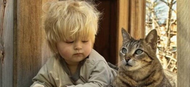 Gatti e bambini: 5 falsi miti che vanno sfatati