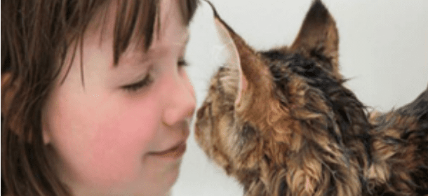 Thula, la gatta che ha insegnato alla bimba autistica a nuotare [VIDEO]