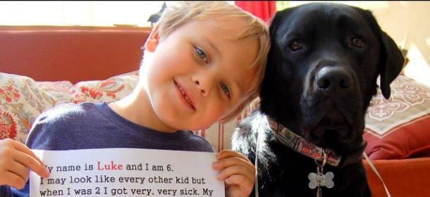 Jedi, il cane che salva un bimbo diabetico ogni singolo giorno