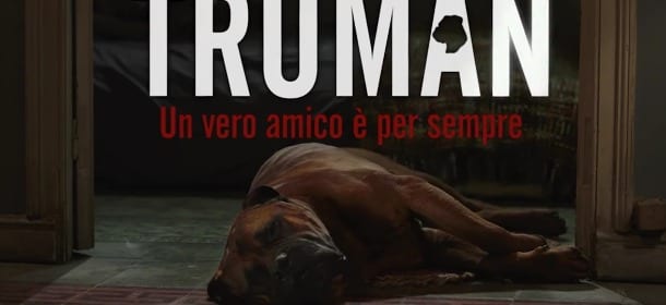 'Truman', il nuovo film col cane che commuove e fa pensare [VIDEO]