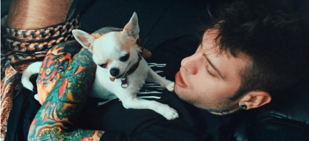Fedez sente la mancanza dei cani: la ex Giulia Valentina li ha portati via