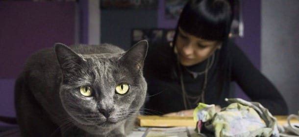 Marianna, il progetto fotografico Passions e l'amore per i gatti: "I veri amici condividono tutto"