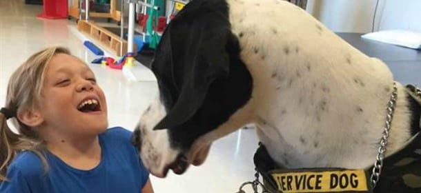 Il cane gigante e la bambina che aiuta a camminare: quando l'amore vince sulla ragione