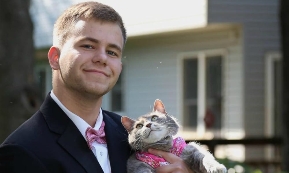 Va al ballo scolastico col gatto: il motivo è sorprendente