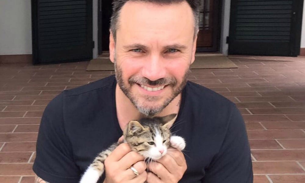 Nek trova un gatto abbandonato e manda un messaggio ai fan