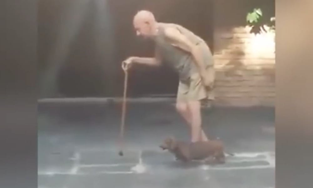 L'anziano e il Bassotto: il video dimostra perché un cane è il miglior amico dell'uomo