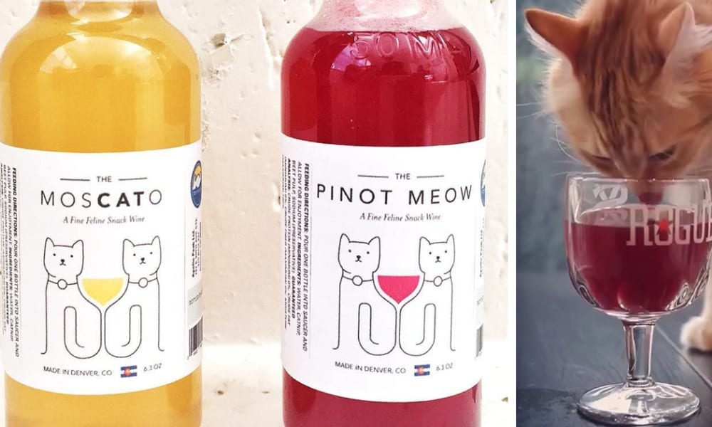 MosCATo e Pinot Meow, il vino per gatti dall'ingrediente irresistibile