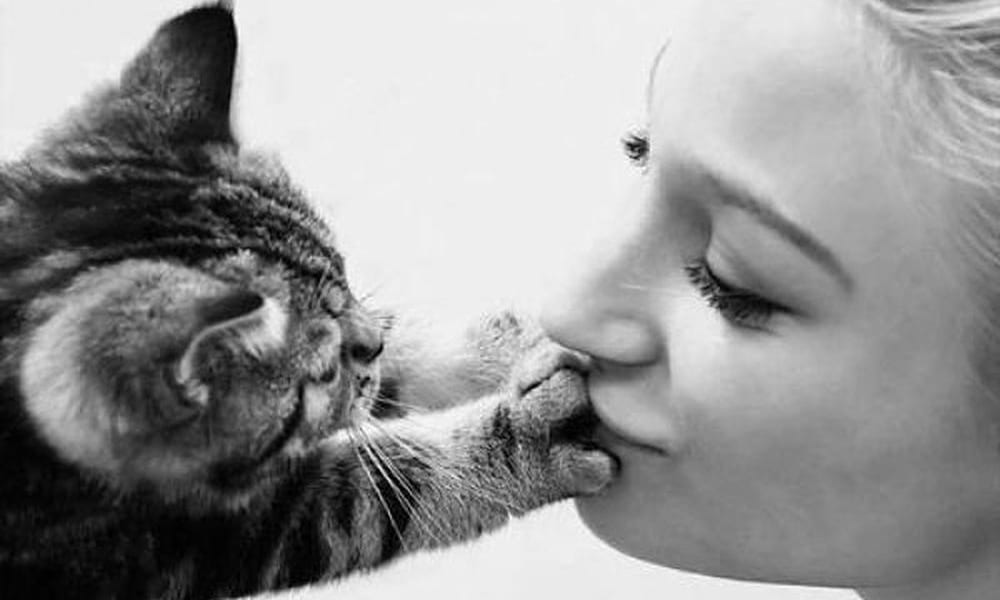 Animali che odiano i baci