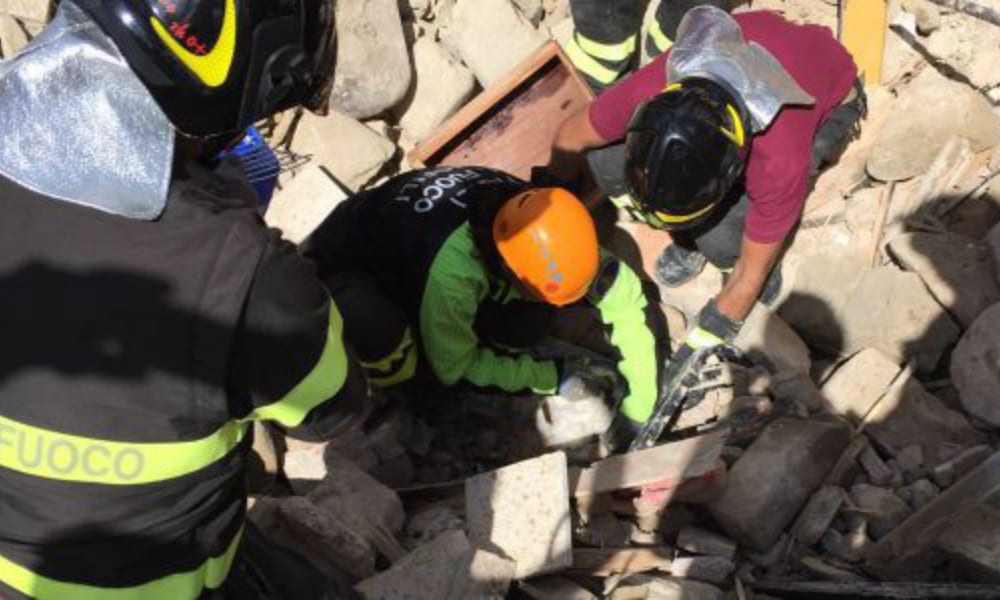 Terremoto: l'incredibile salvataggio di Pietro, il gatto sopravvissuto 16 giorni sotto le macerie