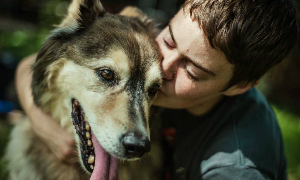 L’ultima nevicata per Spunky, il cane malato terminale [VIDEO]