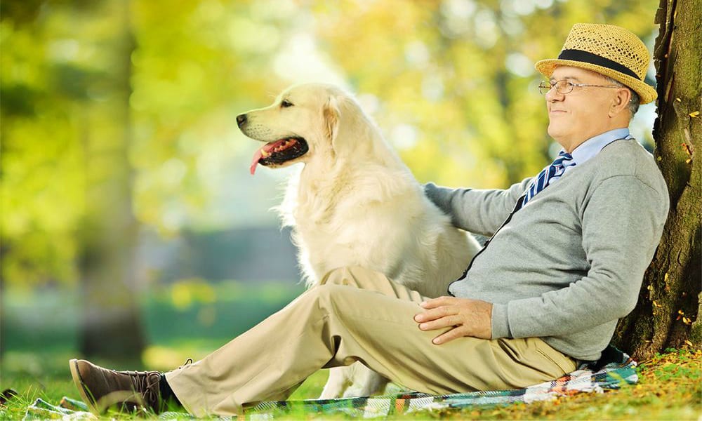 Giornata Mondiale dei Nonni: nonni e animali da compagnia per il futuro dei bambini