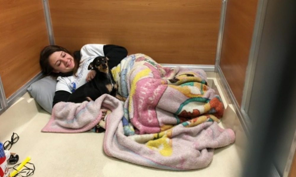 Un giorno da cani: sei volontari si chiudono in un rifugio e...