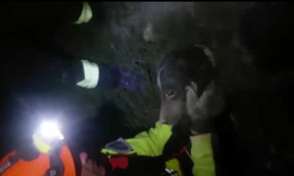 Terremoto: l’incredibile salvataggio di un cane estratto dalle macerie a Norcia [VIDEO]