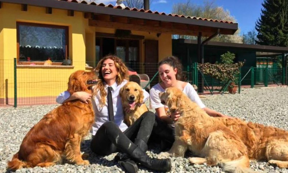 Dopo i servizi su Angelo e Pilù, “Le Iene” lanciano una petizione online contro la violenza sugli animali [VIDEO]