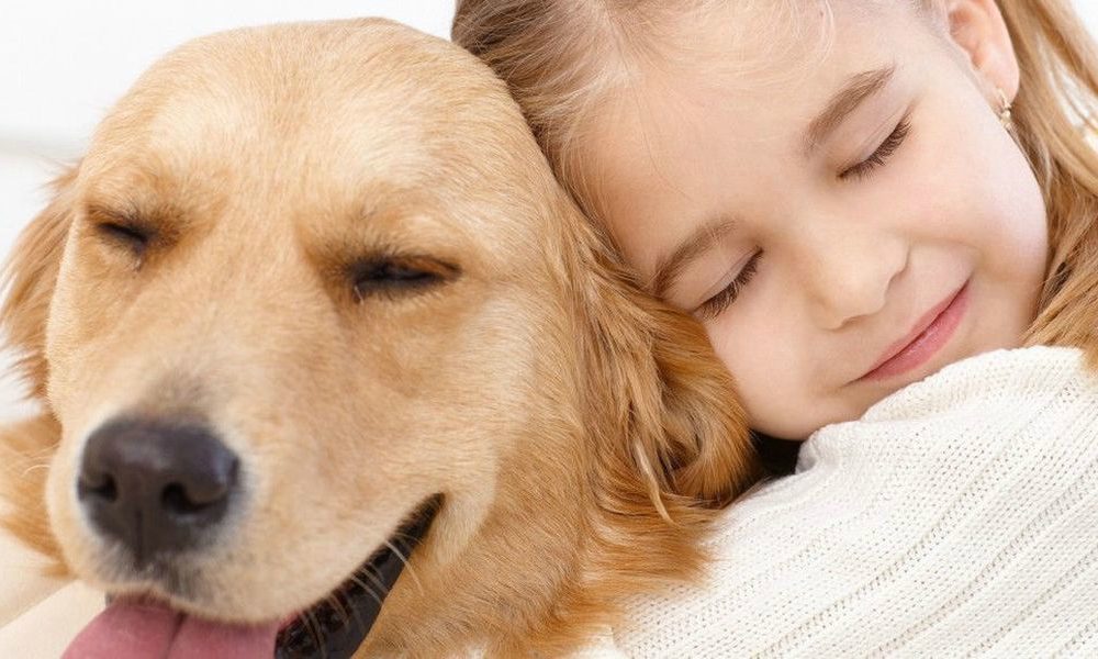 Animali coccolosi che amano gli abbracci… [VIDEO]