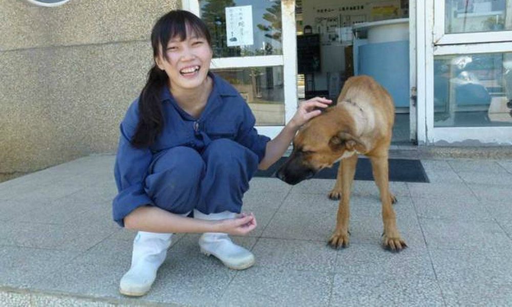 Uccide 700 cani e si toglie la vita per il senso di colpa